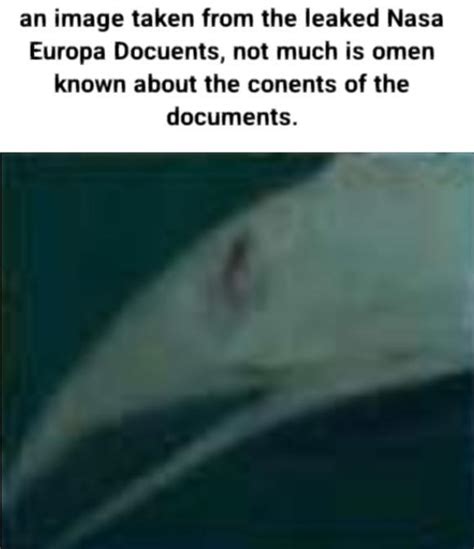 Life On Europa Leaked Documents / Europan Hookmouth Hoax